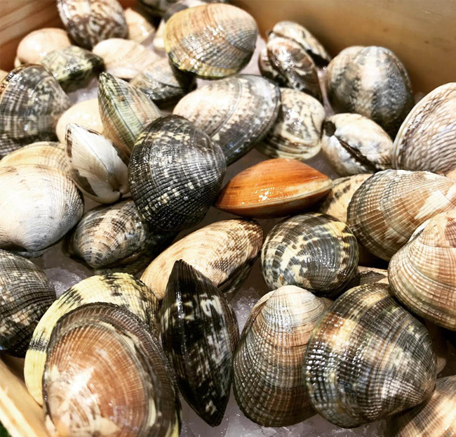 Almeja gallega de Cambados