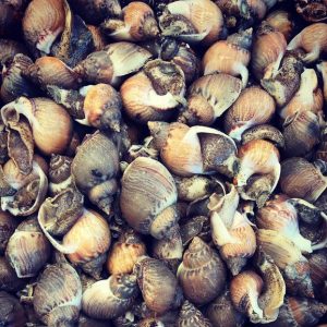 Bígaro (caracolillo) de San Carlos (500gr)