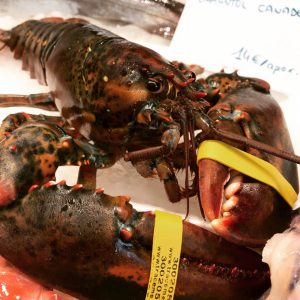 Bogavante canadiense (500gr/pieza)