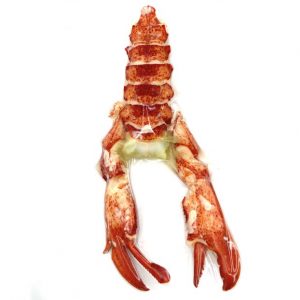 Bogavante cocido y pelado