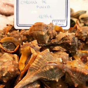 Cañailla de San Carlos de la Rápita