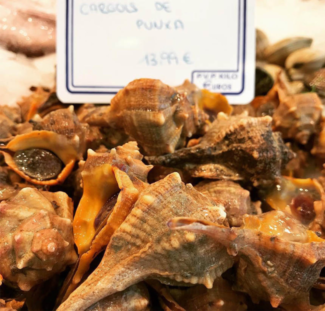 Cañailla de San Carlos de la Rápita