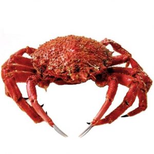 Centolla gallega (900gr)