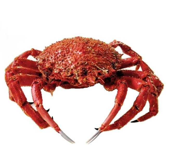 Centolla gallega (900gr)