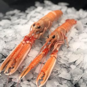 Cigala nº0 congelada (caja de 1,5kg)