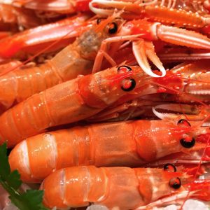 Cigala fresca mediana de Vilanova i la Geltrú