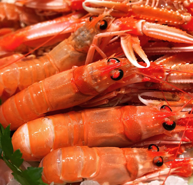 Cigala fresca mediana de Vilanova i la Geltrú