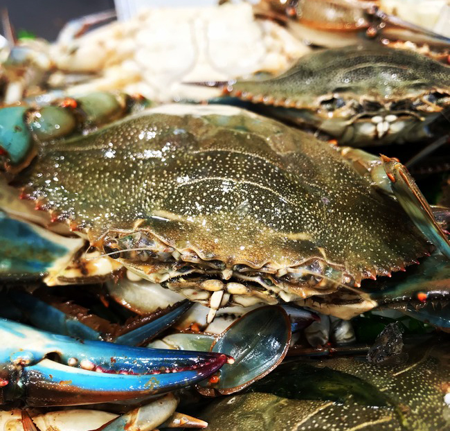 Cangrejo azul del Delta del Ebro (500gr)