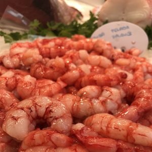 Gamba fresca pelada de Palamós