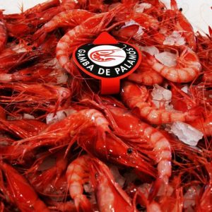 Gamba roja de Palamós pequeña