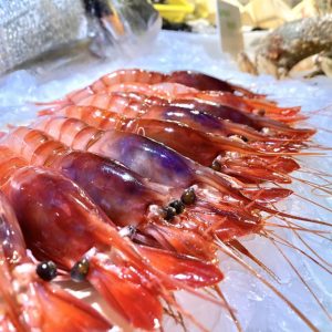 Gamba roja de Palamós grande