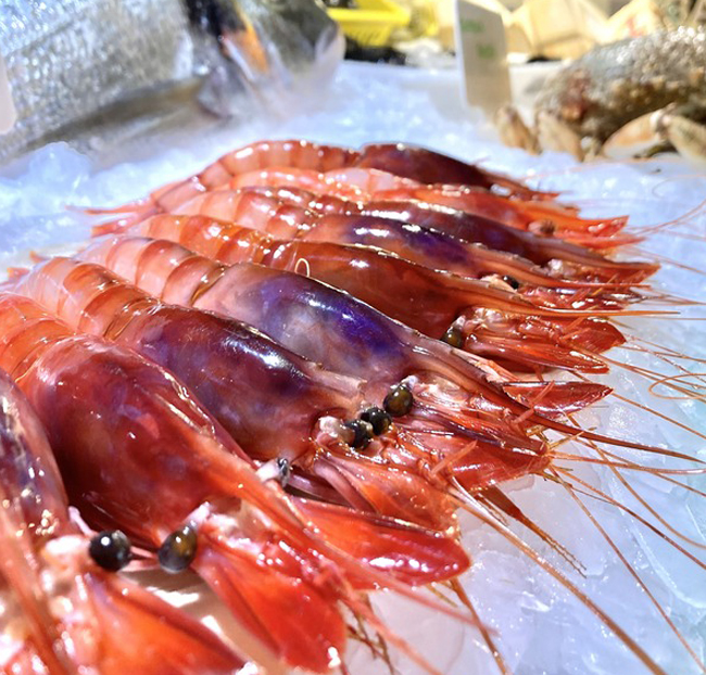 Gamba roja de Palamós grande