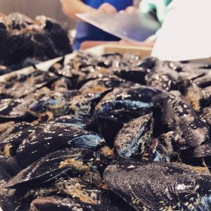 Mejillón de roca del Delta del Ebro