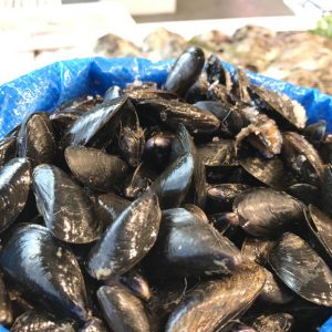 Mejillón bouchot de la baie du Mont Saint-Michel (Normandía)