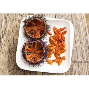Erizo de mar gallego (12 unidades)