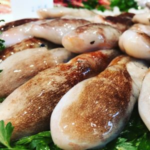 Pulpitos de San Carlos de la Rápita