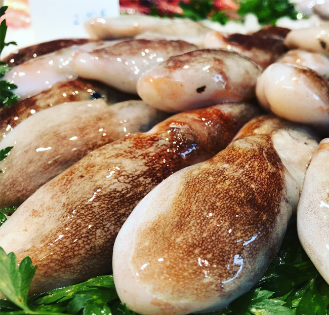 Pulpitos de San Carlos de la Rápita