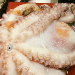 Pulpo gallego fresco (3kg)