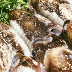 Sepia fresca (450gr)