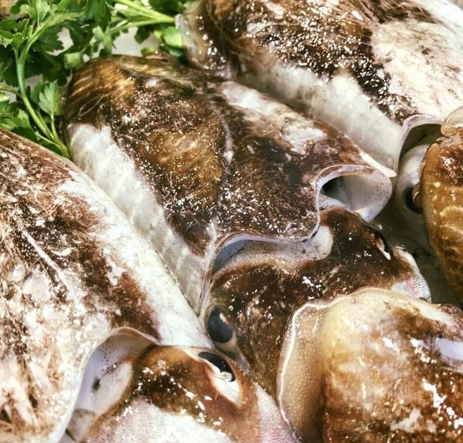 Sepia fresca (450gr)