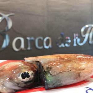 Sepietas de San Carlos de la Rápita