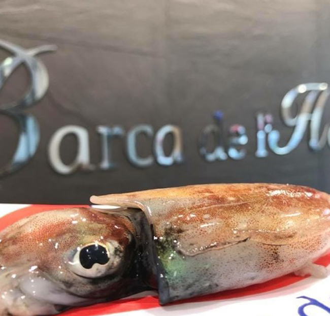 Sepietas de San Carlos de la Rápita