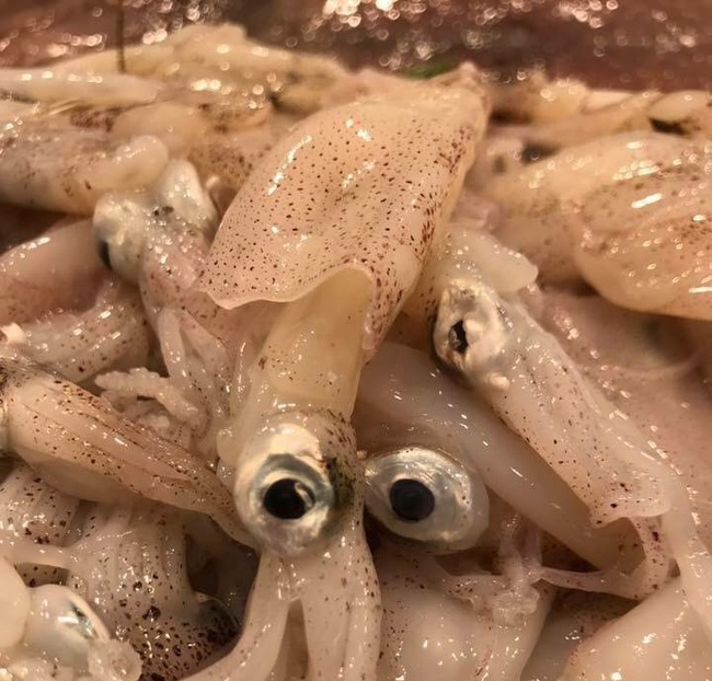 Chipirones de Sant Carles de la Ràpita