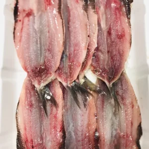 Sardinas frescas medianas capturadas en el mar Mediterráneo, ricas en omega 3, ideales para plancha, horno o espeto