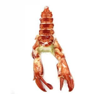 Bogavante cocido y pelado envasado al vacío ideal para ensaladas y aperitivos gourmet.