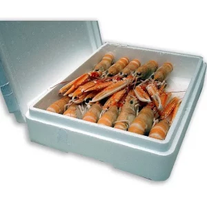 Caja de cigalas medianas congeladas calidad extra.