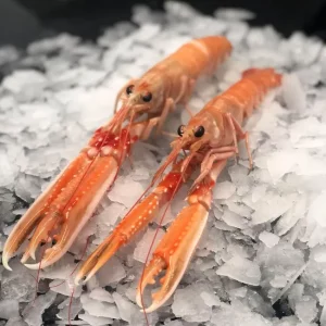 Caja de cigalas grandes calibre numero 0.