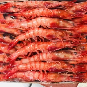 Caja de gamba roja mediana cruda congelada.
