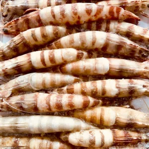 Langostinos tigre del Mediterráneo calibre numero 2.