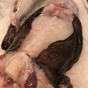 Colitas de rape negro fresco de Palamós – Comprar online