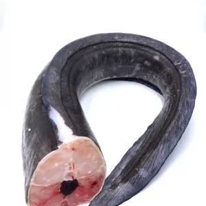 Congrio fresco de Llançà – Pescado blanco perfecto para caldos y arroces