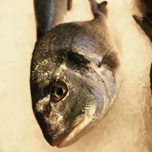 Dorada fresca de acuicultura – Pescado blanco de origen nacional