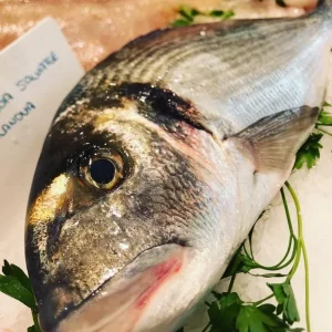 Dorada de acuicultura fresca de España, ideal para horno, plancha o a la sal, pescado blanco saludable