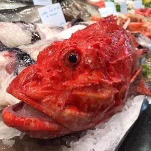 Cabracho fresco – Pescado blanco ideal para pastel o caldereta