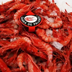 Gamba roja de Palamós tamaño pequeño fresca de la lonja de Palamós.