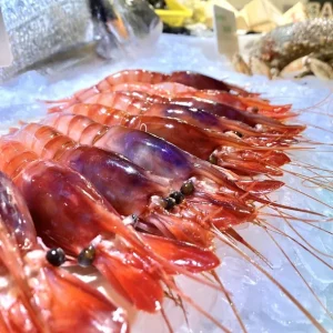 Gambas de Palamós extra grandes XL de color rojo intenso y carne firme.