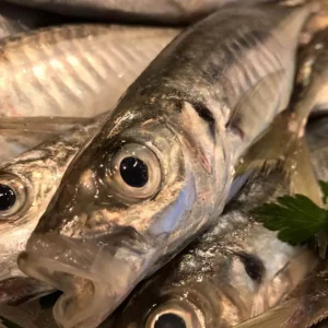 Nombre comercial: Jurel o chicharro. Nombre científico: Trachurus trachurus. País de origen: España. Lonja: Vilanova y la Geltrú (Catalunya). Zona de captura: FAO 37. ¿Dónde habita?: Habita tanto el océano Pacífico Sur como el Atlántico, mar Mediterráneo y Negro. En los meses de otoño e invierno se encuentra en zonas alejadas de la costa, y durante el verano se acerca a las costas para reproducirse. El jurel vive en aguas profundas y migra hacia la superficie para alimentarse de pequeños peces, crustáceos y calamares. ¿Cómo es?: Es un pescado alargado que suele medir entre 20 y 50 cm, siendo su talla mínima legal comercializable 15 cm, y no suele pesar más de 1 kg. ¿De que color es?: Su color es azul con pinceladas plateadas, y su vientre es de color blanco. Tipo de pescado: Pescado azul. Método de pesca: Arrastre y palangre. ¿Cómo cocinar el jurel de playa?: En cuanto a forma de prepararlo tenemos los jureles fritos, en escabeche, en ceviche, una gran variedad de recetas de jurel al horno, en sashimi, etc. Valor nutricional (por cada 100 gramos): Al ser un pescado azul es un pescado graso. En concreto, 100 gramos de porción comestible aportan casi 7 gramos de grasa. El jurel es una buena fuente de proteínas de alto valor biológico y posee cantidades interesantes de vitaminas y minerales. Entre las vitaminas del grupo B, destacan la B1, B2, B3. Calorías: 112 kcal Proteínas: 15,7 gr Hidratos de carbono: 0 Grasas: 6,8 gr Zinc: 0,5 mg Potasio: 420 mg Conservación en casa: En la parte más fría del frigorífico a una temperatura de 2ºC a 4ºC o -18ºC en el congelador. Caducidad: 2 días en la nevera y 2 meses en el congelador.