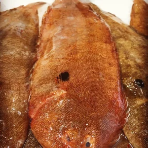 Lenguado fresco del Mediterráneo – Ideal para horno o plancha