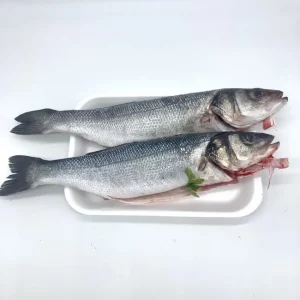 Lubina fresca de acuicultura de España – Pescado blanco saludable