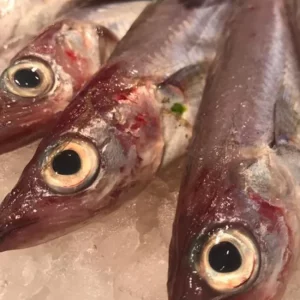 Maira fresca capturada en el mar Mediterráneo (FAO 37) y procedente de la lonja de San Carlos de la Rápita. Perfecta para freír con harina, sal y aceite bien caliente. Pescado sabroso de textura delicada.