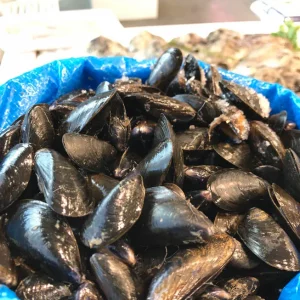 Mejillones de bouchot frescos de Francia con carne amarilla característica.