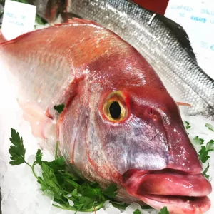 Pagel o breca (Pagellus erythrinus) fresco de Vilanova i la Geltrú, capturado en el Mediterráneo. Pescado de carne blanca, suave y sabrosa, ideal a la plancha, al horno o a la brasa.