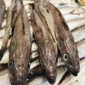 Pescadilla fresca de Vilanova i la Geltrú – ligera, sabrosa y fácil de preparar