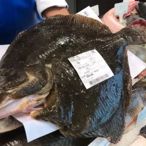 Rodaballo salvaje de Vilanova i la Geltrú – Pescado blanco sin espinas ideal para celebraciones