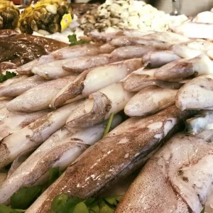 Calamar fresco de playa de gran tamaño (400gr) capturado en el Mediterráneo.