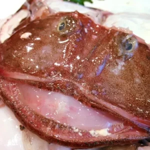 Cabeza de rape fresco de Palamós para caldos y fumets